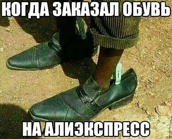 ногдд здцдздп овивв