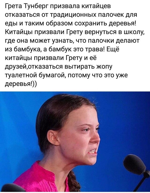 Грета Тунберг призвала китайцев отказаться от традиционных папочек для еды и таким образом сохранить деревья Китайцы призвали Грету вернуться в школу где она может узнать что палочки делают из бамбука а бамбук это трава Ещё китайцы призвали Грету и её друзейотказаться вытирать жопу туалетной бумагой потому что это уже деревья