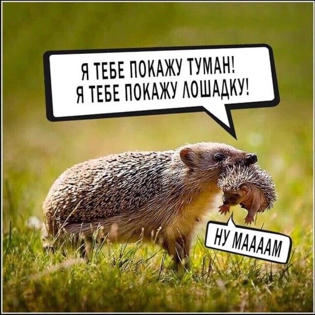 Я ТЕБЕ ПОКАЖУ ТУМАН Я ТЕБЕ ПОКАЖУ АОШАДКУ
