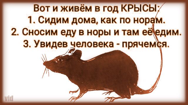 Вот и живём в год КРЫСЫ 1 Сидим дома как по нор м 2 Сносим еду в норы и там её дим З Увидевдчеловека прячем Ая