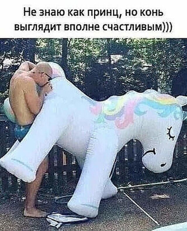 Не знаю как принц но конь выглядит вполне счастливым