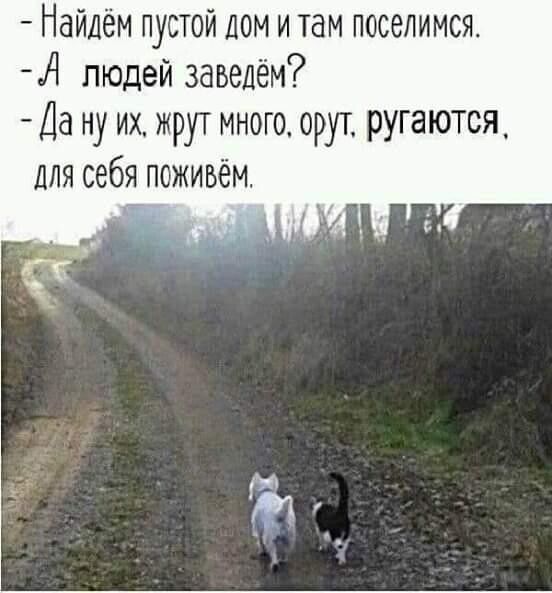 Найдём пустой лом и там поселимся А людей завелём Да ну их жрут много орут ругаются для себя поживём