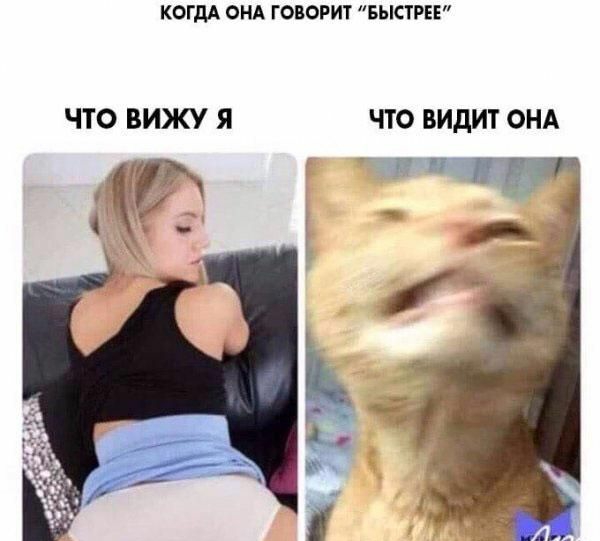 КОГДА ОНА ГОВОРИТ БЫСТРЕЕ ЧТО ВИЖУ Я ЧТО ВИДИТ ОНА