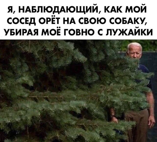 я НАБЛЮДАЮЩИЙ КАК мой сосед орет НА свою СОБАКУ УБИРАЯ мое говно с ЛУЖАЙКИ