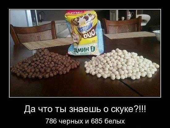 Да что ты знаешь о скуке 786 черных и 685 белых