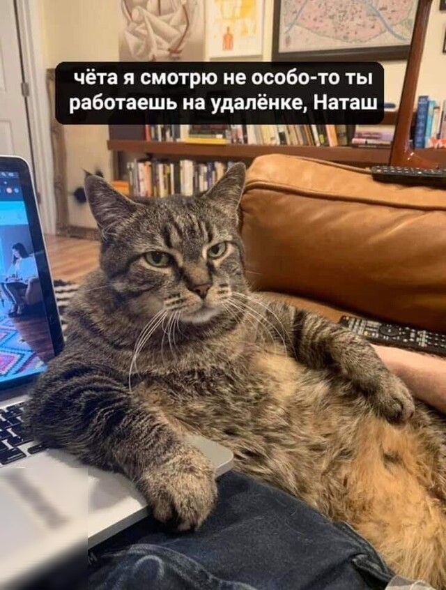 чёта я смотрю не особо то ты работаешь на удалёнке Наташ 3 _ и 3