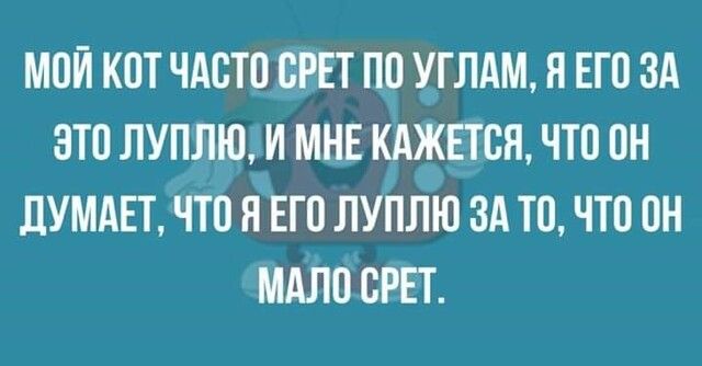 МОЙ КОТ ЧАОТО ОРЕТ ПО УГЛАМ Я ЕГО ЗА ЗТО ЛУПЛЮ И МНЕ КАЖЕТСЯ ЧТО ОН ЛУМАЕТ ЧТО Я ЕГО ЛУПЛЮ ЗА ТО ЧТО ОН МАЛО ОРЕТ