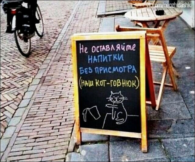 НАПИТКИ _ Без питт Ж Кот ЮБНЮК
