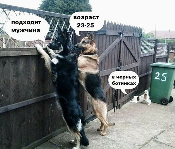 нозрас1 подкодт мужчина черных ботинках