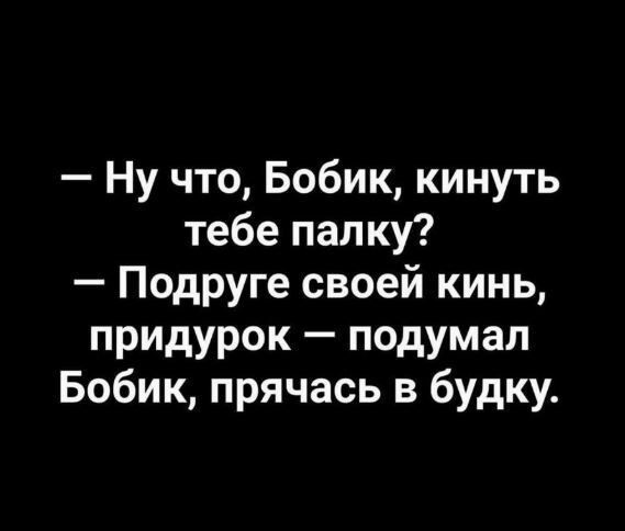 Ну что Бобик кинуть тебе палку Подруге своей кинь придурок подумал Бобик прячась в будку