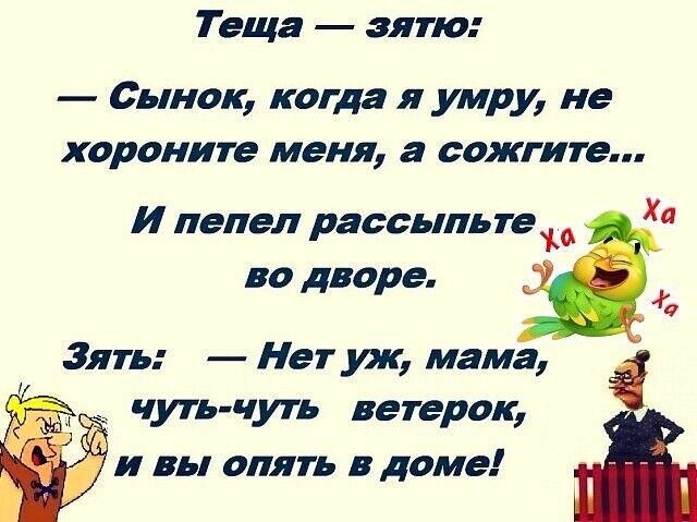 Теща зятю Сынок когда я умру не хороните меня а сожгите Ха И пепел рассыпь те И во дворе а Зять Нет уж мама чуть чуть ветерок и вы опять в доме