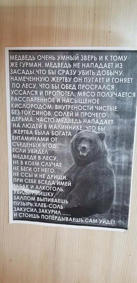 МЕАВЕАЬ ОЧЕНЬ УМНЫЙ ЗВЕРЬ И К ТОМУ ЖЕ ГУРМАН МЕАВЕАЬ НЕ НАПАААЕТ ИЗ ЗАСААЫНТО БЫ СРАЗУ УБИТЬ АОБЫЧУ НАМЕЧЕННУЮ ЖЕРТВУ ОН ПУГАЕТ ГОНЯЕТ ПО АЕСУ ЧТО ВЫ ОБЕД ПРОСРАА Я УССААСЯ И ПР ЖЕРТВА въмд вогАтА ВИТАМИНАМИ от еъвАеды и веди ув