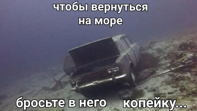 чтобы вернуться на море мм бросьте ВНЧЬ допеидуд Ш