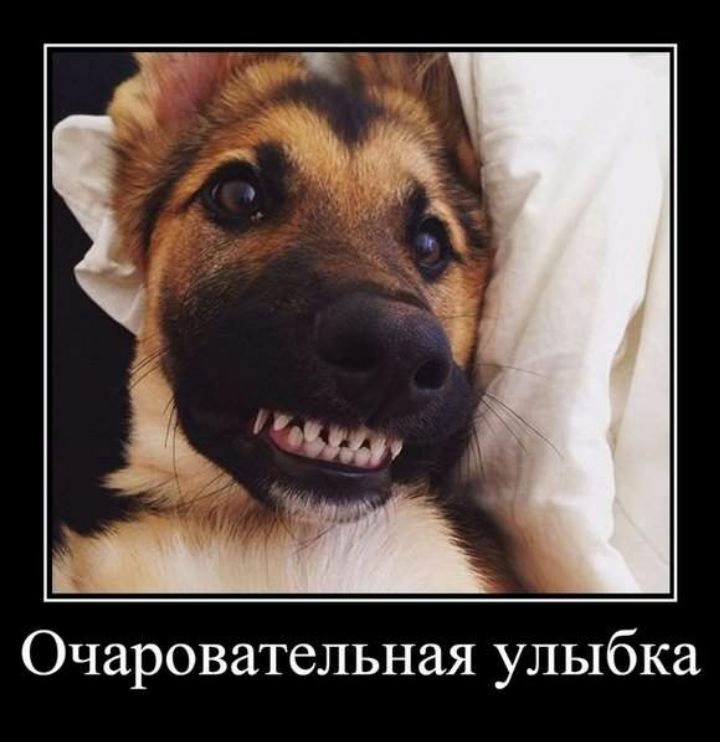 Очаровательная улыбка