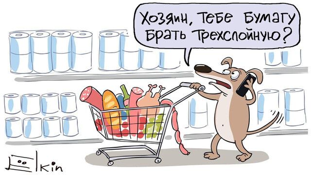 хозяищТеБе Бумагу Брать крехспойную З _ Ь