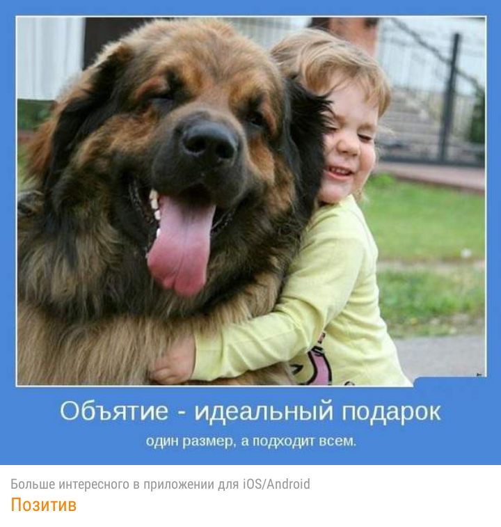 А _ объятие идеальный подарок один размер подтдит всем