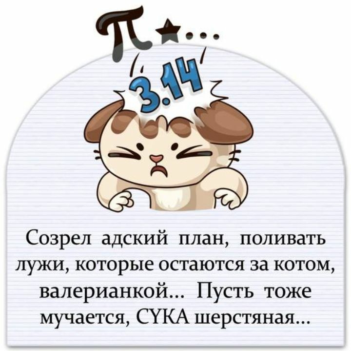 Созрел адский план поливать лужи которые остаются за котом валерианкой Пусть тоже мучается СУКА шерстяная