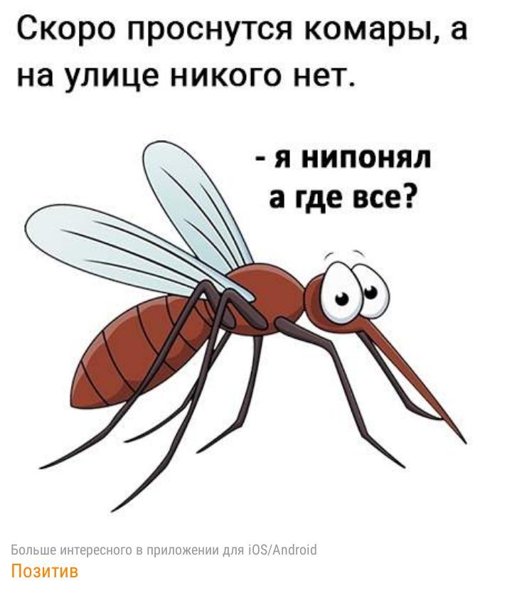 Скоро проснутся комары а на улице никого нет я нипонял а где все Больше имересного в приложении для ЮЗАптшо Позитив