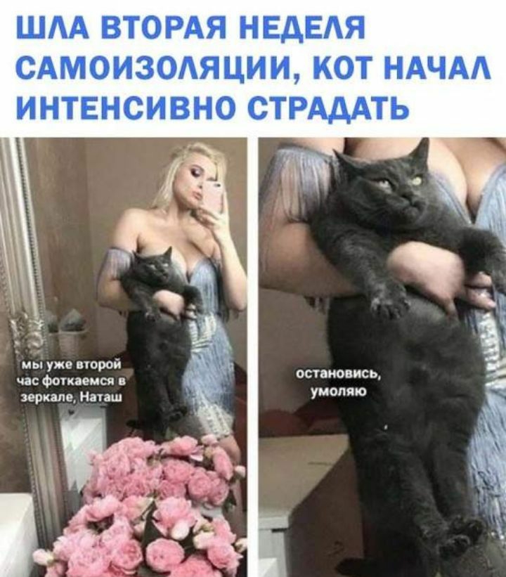ША ВТОРАЯ НЕДЕАЯ САМОИЗОАЯЦИИ КОТ НАЧАА ИНТЕНСИВНО СТРАДАТЬ мы уже порой час фоткам ся в зеркале Наташ остановисьА умоляю