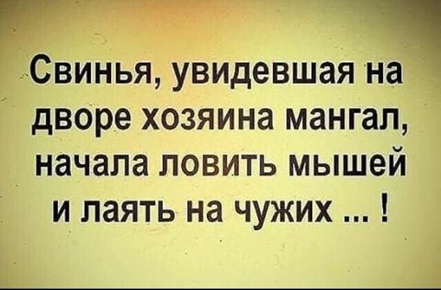 Свинья увидевшая на дворе хозяина мангал _ начала ловить мышей и лаять на чужих