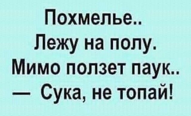 Похмелье Лежу на полу Мимо ползет паук Сука не топай