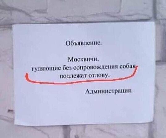 Обитание Москвичи _ гумюпшю без сопреишыиц абы полиат швУ