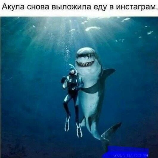 АКУПЗ снова ВЫПОЖИПЭ еду В инстаграм