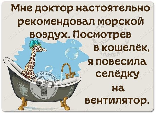 Мне доктор настоятельно рекомендовал морской воздух Посмотрев в кошелёк я повесила селедку на вентилятор