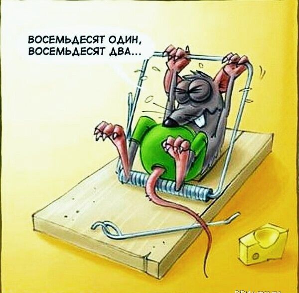 восемьдесят один восемьдесятдвд _
