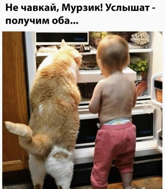 Не чавкай Мурзик Услышат получим оба