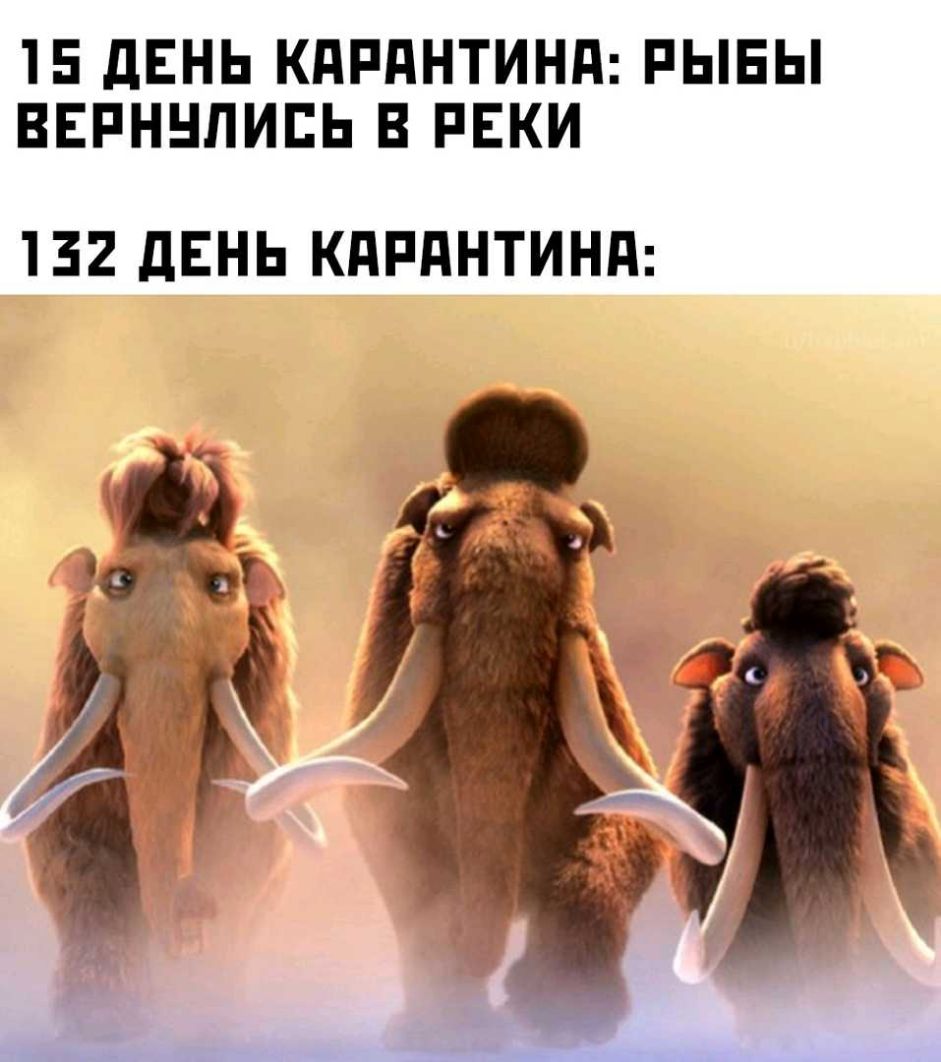 15 дЕНЬ КдРдНТИНд РЫБЫ ВЕРННЛИЕЬ В РЕКИ 132 дЕНЬ КдРдНТИНд