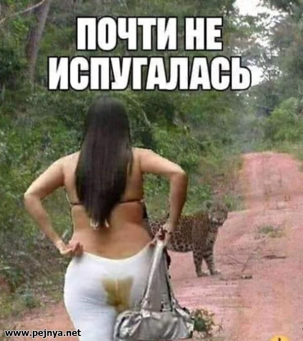 _ ре1пуапе