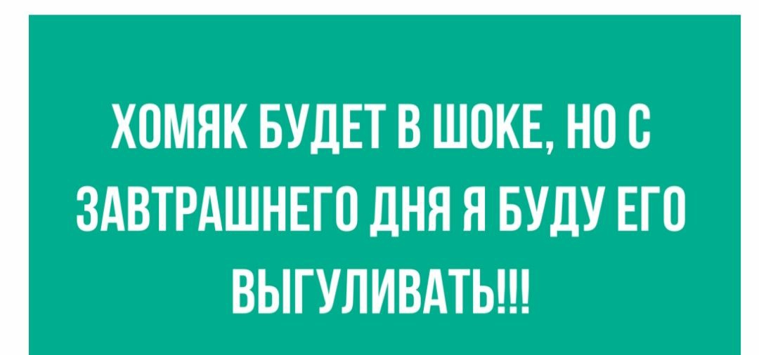 ХПМЯК БУДЕТ В ШОКЕ НОВ ЗАВТРАШНЕГО ДНЯ Я БУДУ ЕГО ВЫГУЛИВАТЬ