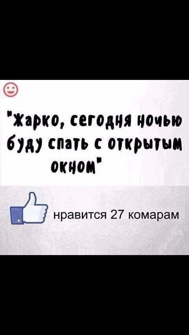 Жарко сегодня ночью 6 спать с открытым окном нравится 27 комарам