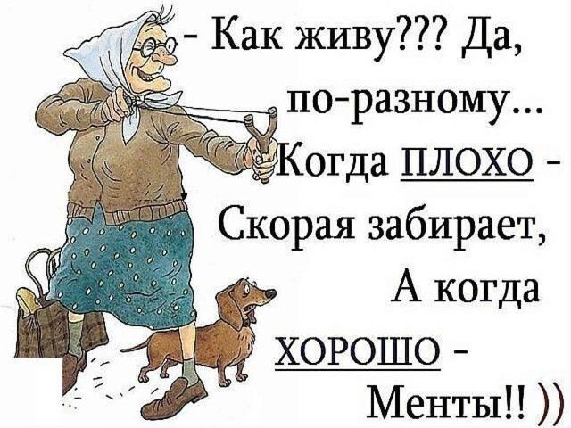 _ Как живу Да поразному огда плохо Скорая забирает А когда хорошо Менты