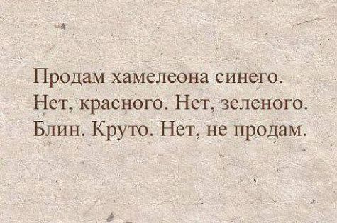 Продам хамелеона синего Ыет красного Нет зеленого Блин Круто Нет не продам