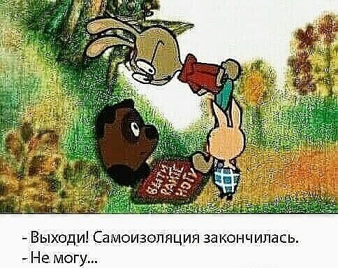 Выходи Самоизолпция закончилась Не мог