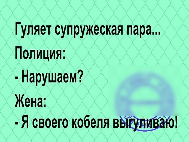 Г упяет супружеская пара Полиция Нарушаем