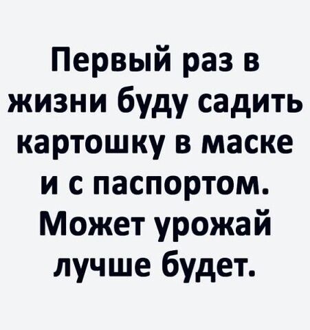 Первый раз в жизни буду садить картошку в маске и с паспортом Может урожай лучше будет
