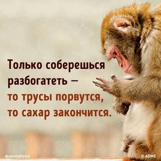 Только соберешьсяа разбогатеть то трусы порвутся то сахар закончится