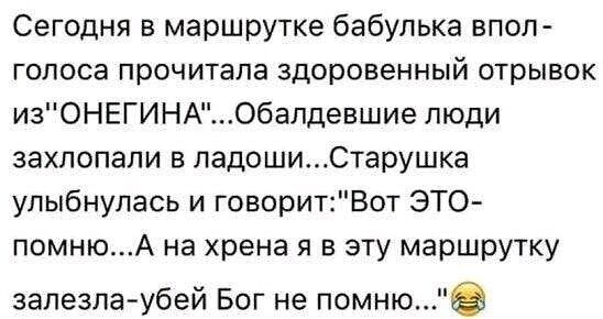 Сегодня в маршрутке бабулька впоп гопоса прочитала здоровенный отрывок изОНЕГИНАОбалдевшие люди захлопали в ладошиСтарушка улыбнулась и говоритВот ЭТО помнюА на хрена я в эту маршрутку залезла убей Бог не помню