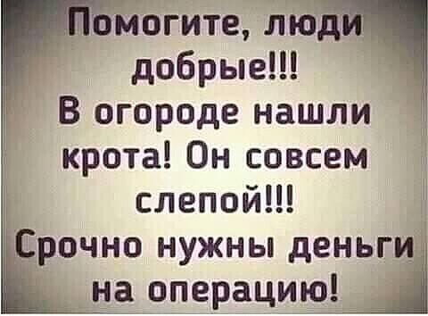 Могите то добрые В огороде нашли крота Он совсем слепой рочно нужны деньги _ на операциъоЦ