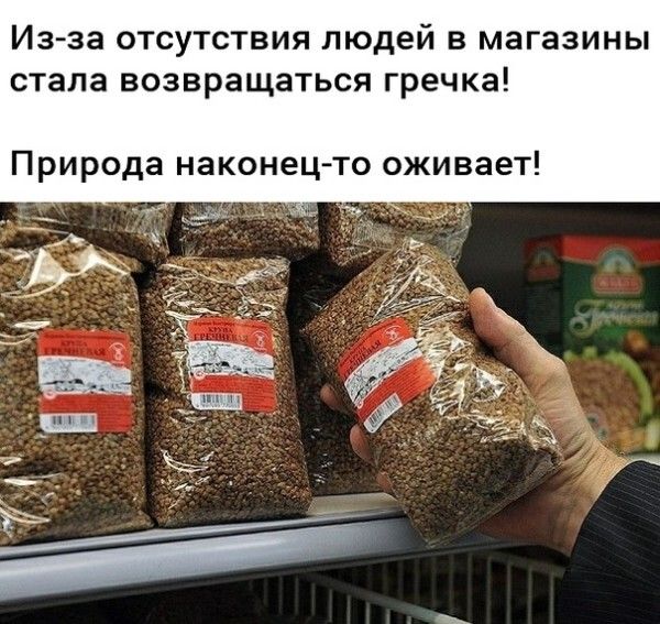 Из за ОТСУТСТВИЯ ЛЮДЕЙ В магазины стала ВОЗВРЗЩЗТЬСЯ гречка Природа наконец то оживает