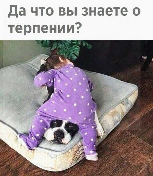 Да что вы знаете о терпении