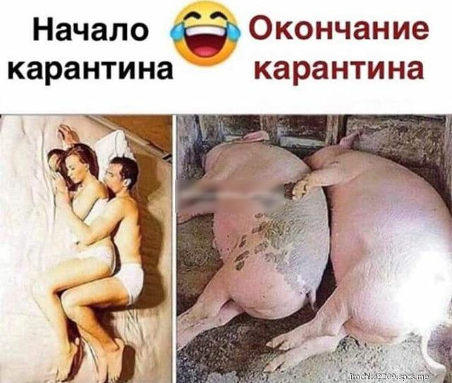 Начало Окончание карантина карантина
