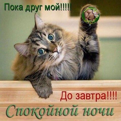 До завтра Ёішщшьш мочи