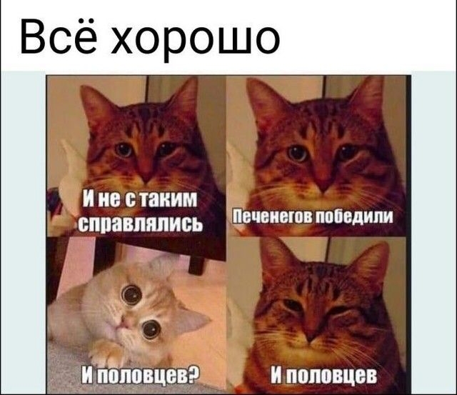 Всё хорошо В с таким справпяпись ПЕЧЕИВШВ понидипи іу _ИЁЁЁЁЮВЦВВ и половцев