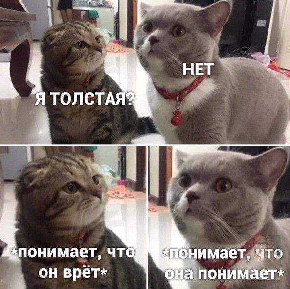 онимает чт 1имаёёто он врёт ет