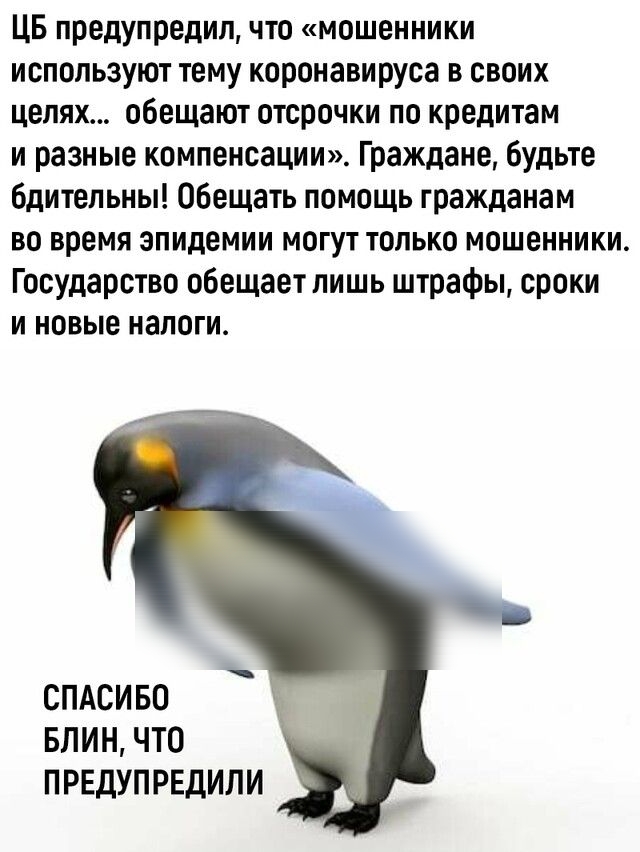 ЦБ предупредил что мошенники используют тему коронавируса в своих целях обещают отсрочки по кредитам и разные компенсации Граждане будьте бдительны Обещать помощь гражданам во время эпидемии могут только мошенники Государство обещает лишь штрафы сроки и новые налоги СПАСИБО БЛИН ЧТО ПРЕДУПРЕДИЛИ