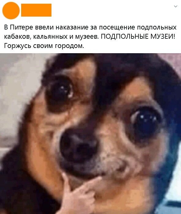 В Питере ввели наказание за посещение подпольных кабаков кальянных и музеев ПОДПОЛЬНЫЕ МУЗЕИ Горжусь своим городом